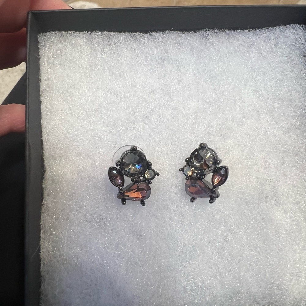 Elegant Black and Silver Crystal Earrings